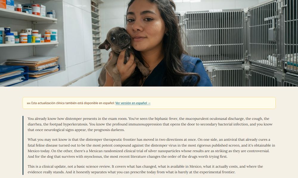 The Cure Canine Disease distemper page before the fix, with small text spanning the whole screen.