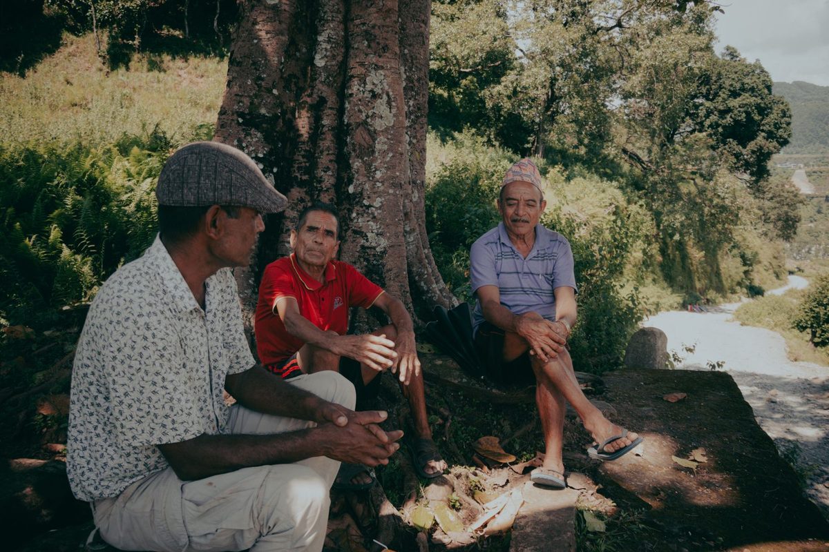 A small circle of older men sitting together outdoors under a tree, relaxed and mid-conversation in warm afternoon light